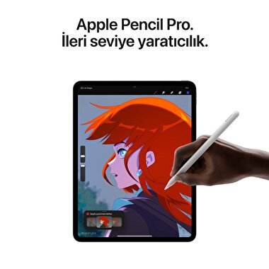 Apple 13 inç iPad Pro M4 WiFi 1TB Nano-texture Cam Gümüş  MWRG3TU/A